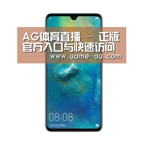 华为无线快充手机