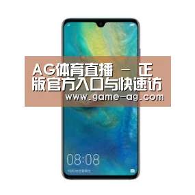 华为无线快充手机