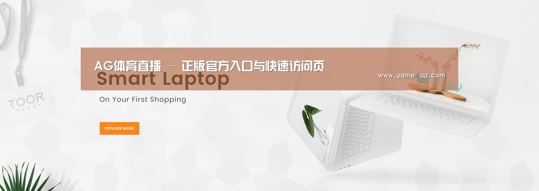 某某网络科技有限公司